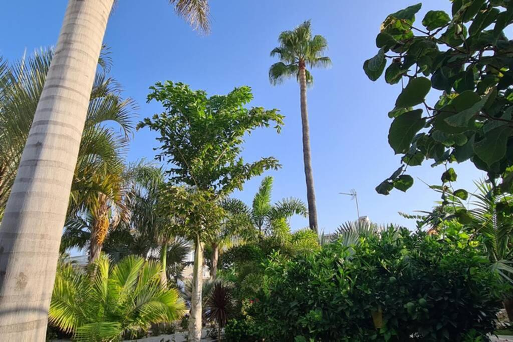 Willa Tropical Paradise In