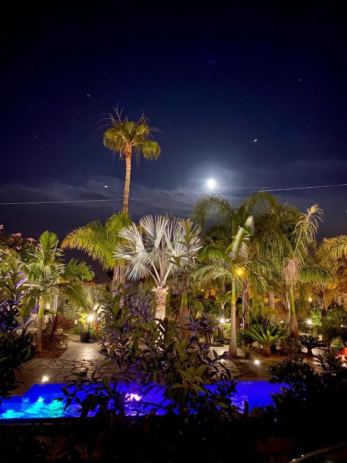 Tropical Paradise In Willa