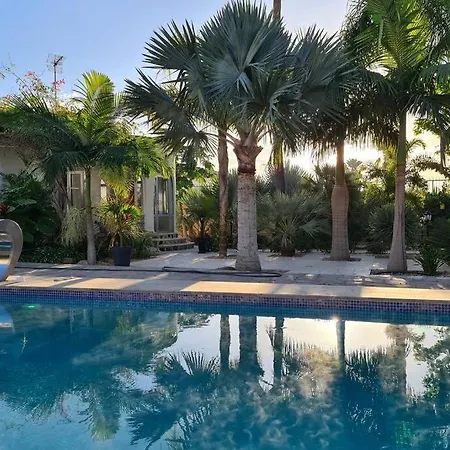 Tropical Paradise Villa In Torrevieja Exterior photo