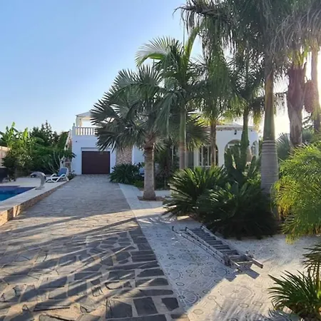 Tropical Paradise Villa In Torrevieja Exterior photo