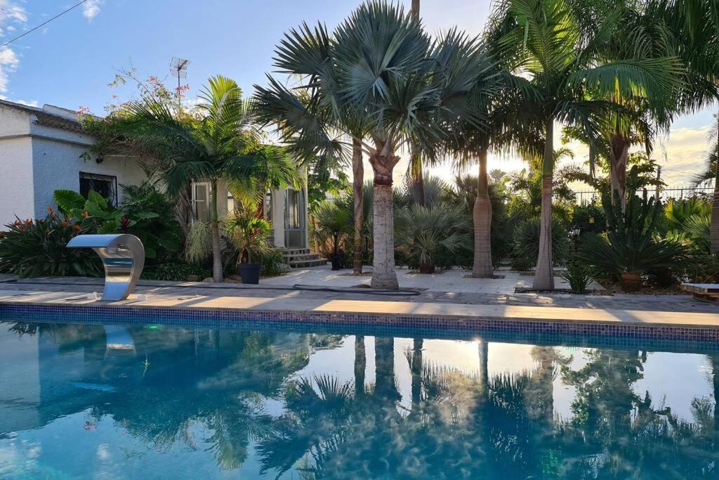 Tropical Paradise In Villa *