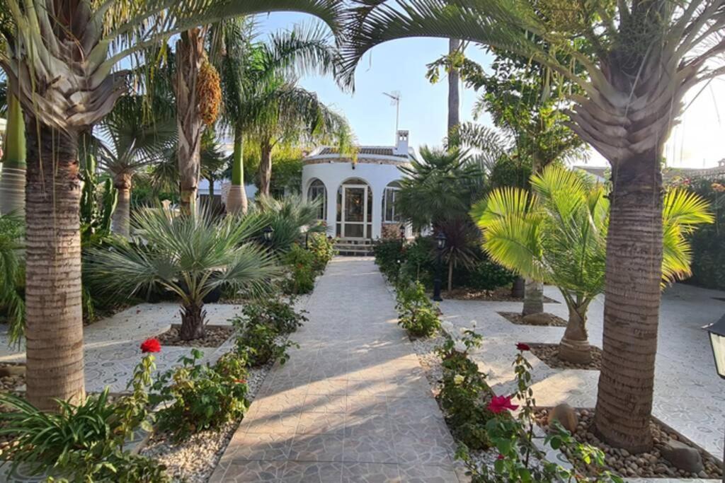 Tropical Paradise In * Torrevieja