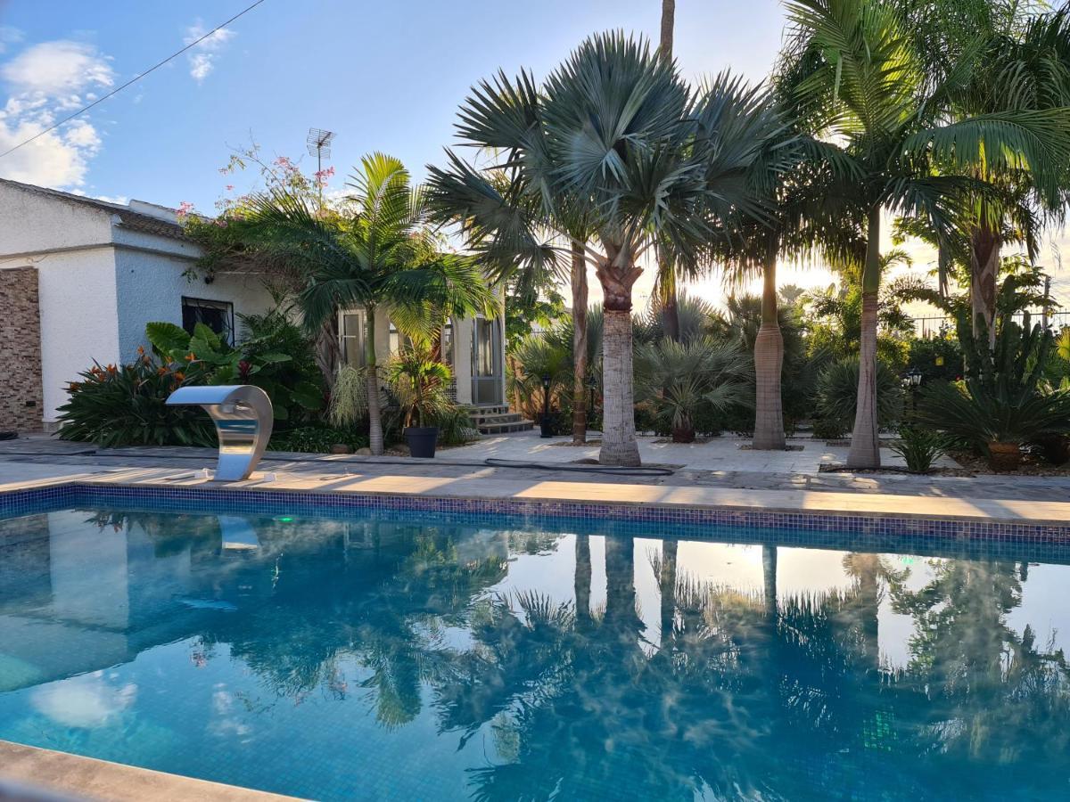 Tropical Paradise In * Torrevieja